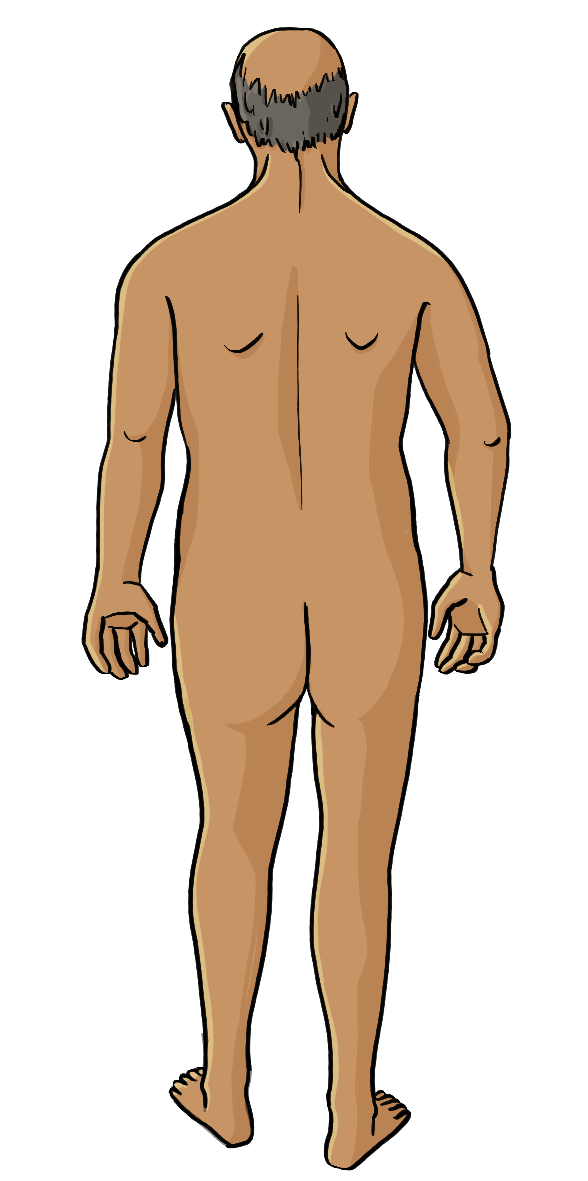 Ein Mann von hinten. Er ist nackt.