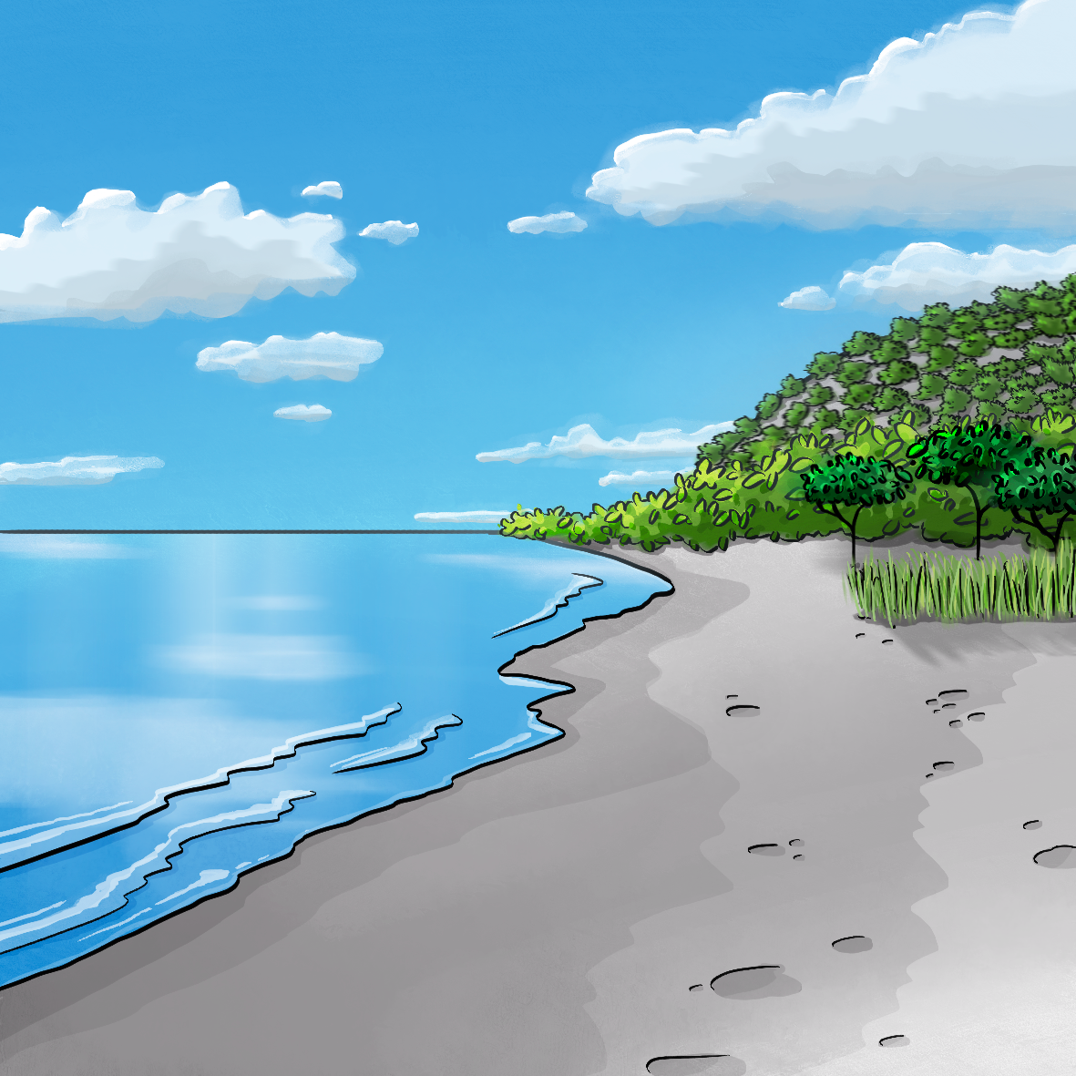 Ein Strandabschnitt, im Hintergrund sind Bäume. Der Himmel ist blau mit einigen Wolken.