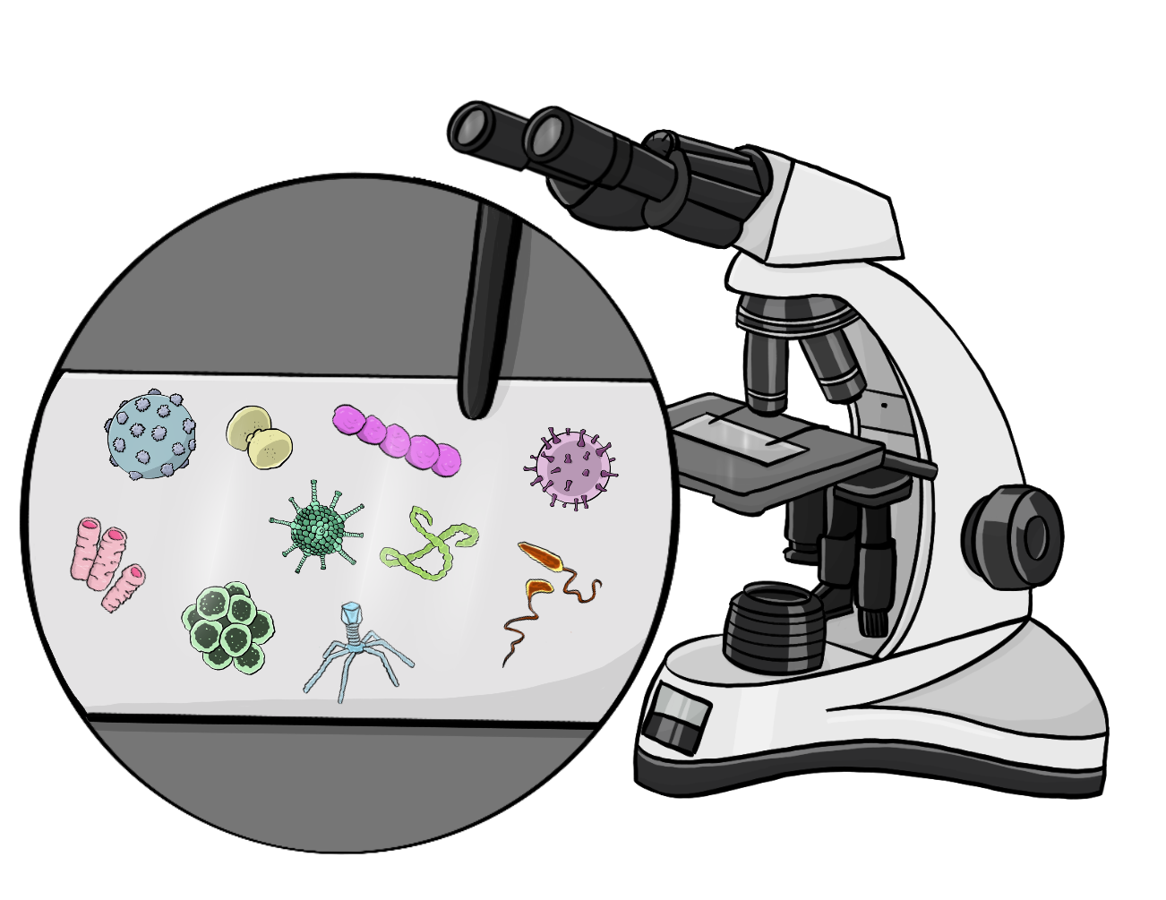 Ein Mikroskop. Daneben ist ein Kreis mit einem Vergrößerten Trägerglas. Auf dem Glas sind verschiedene Viren und Bakterien.
