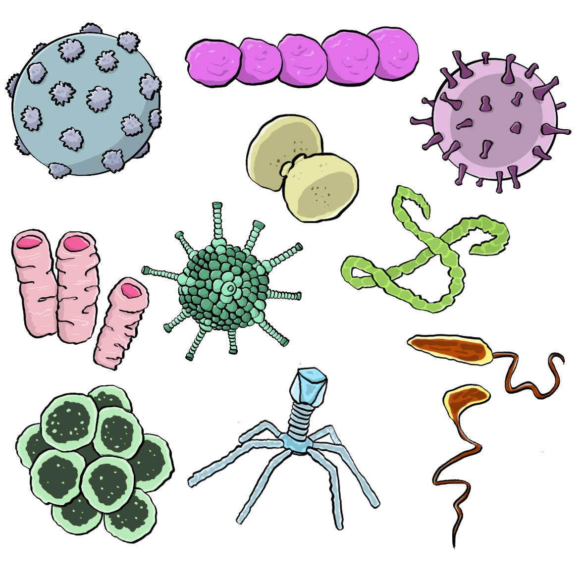 Eine Gruppe verschiedener Viren und Bakterien.