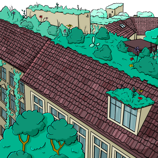 Mehrere Häuser mit begrünten Dächern von oben.