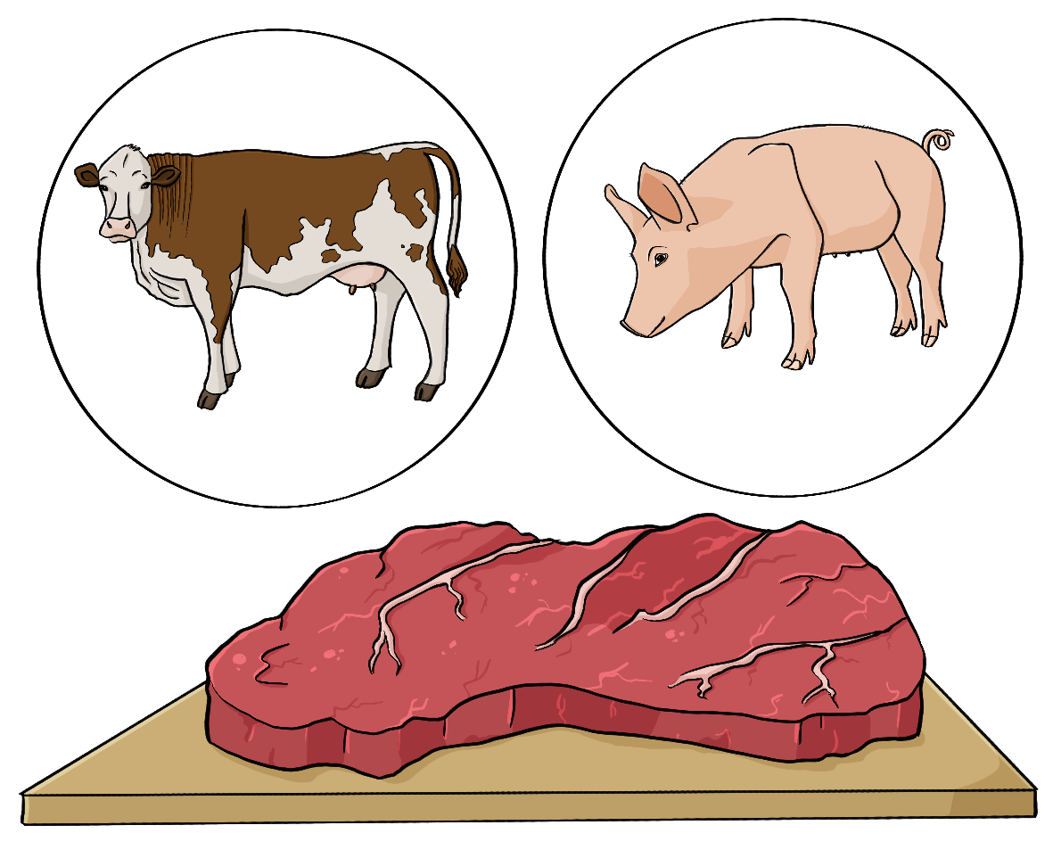 Ein Brett mit einem Stück rohem, roten Fleisch. Über dem Brett sind ein Kreis mit dem Bild von einer Kuh und ein Kreis mit dem Bild von einem Schwein.