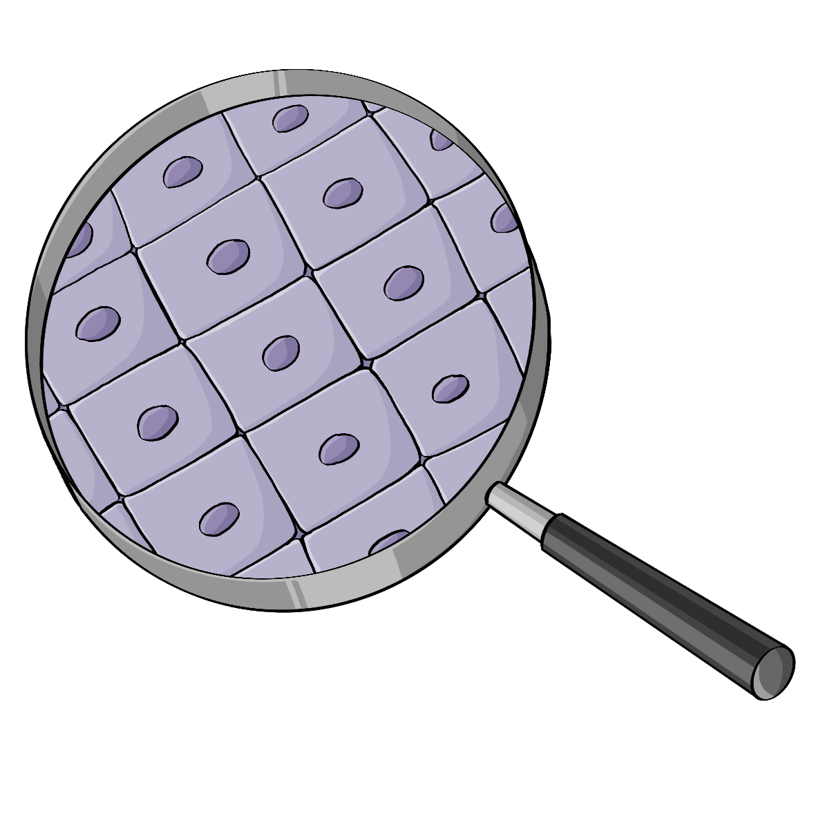 Eine Lupe. Unter der Lupe ist eine Ansammlung von regelmäßigen Zellen.