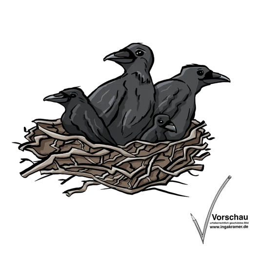 Ein Nest mit einer Rabenfamilie.
