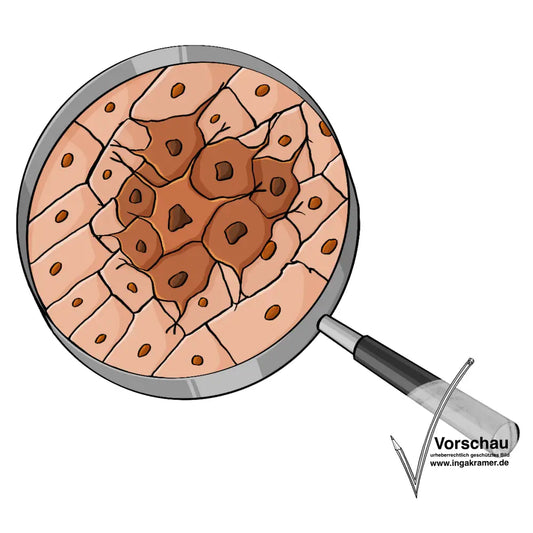 Alternativtext: Eine Lupe. Unter der Lupe ist eine Ansammlung von unregelmäßigen Zellen.