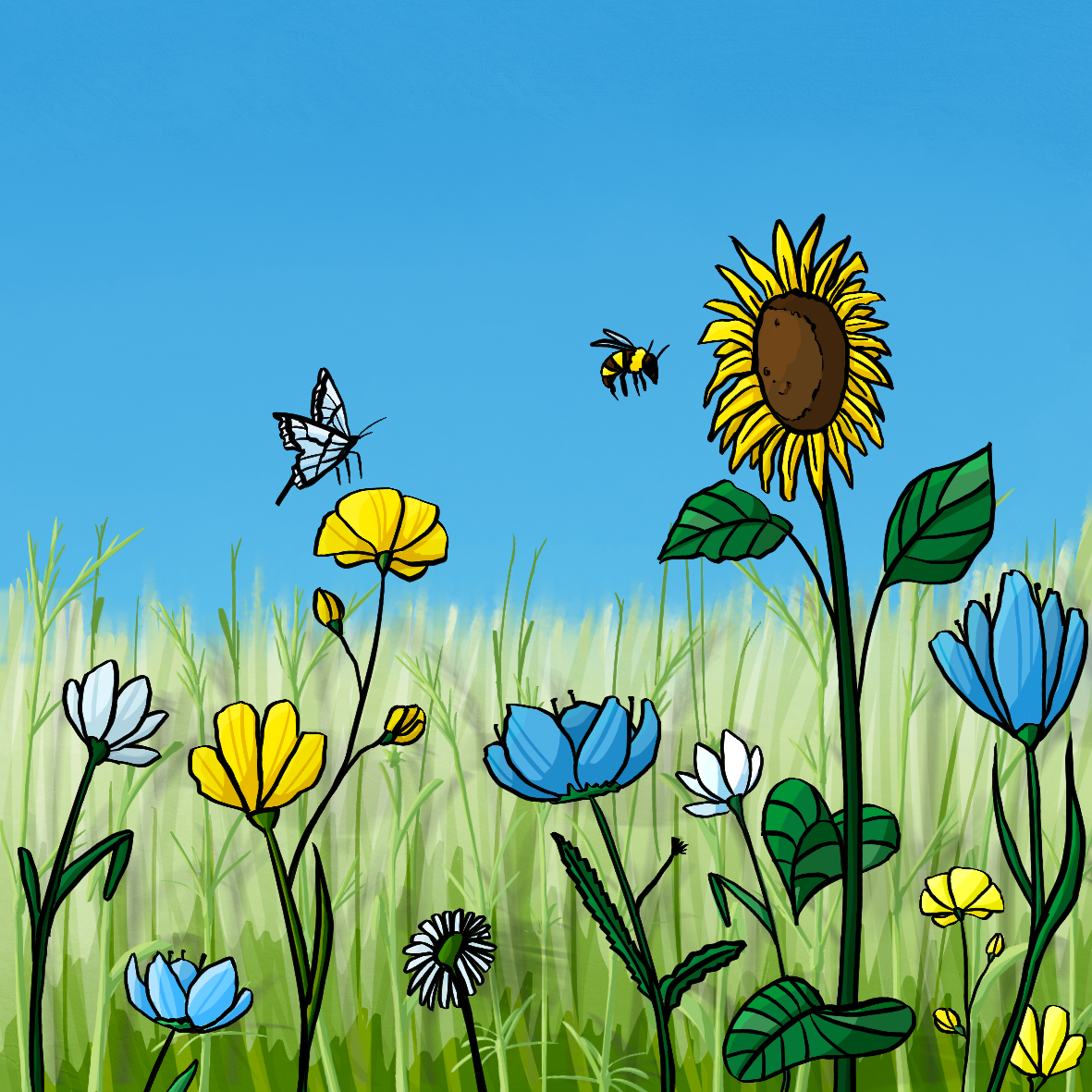 Eine Wiese mit verschiedenen Blumen. Schmetterlinge und Bienen fliegen über den Blumen. Im Hintergrund ist blauer Himmel.