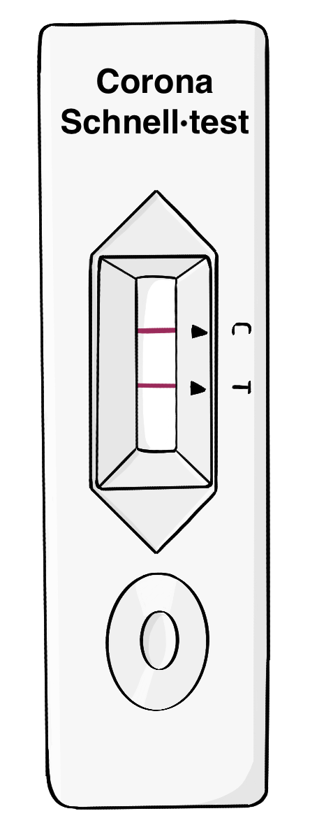 Eine Testkassette von einem Corona-Schnelltest mit zwei roten Streifen.