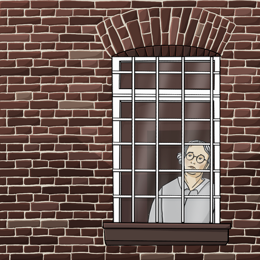 Ein Frauengesicht hinter einem vergitterten Fenster in einer Backsteinmauer.