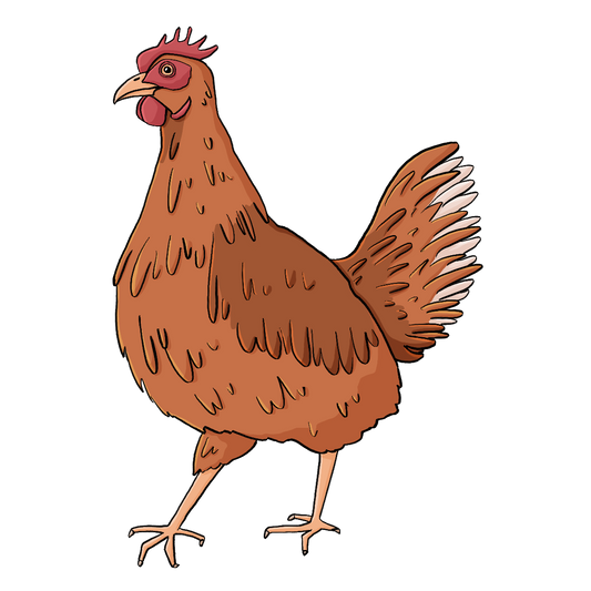 Ein braunes Huhn.