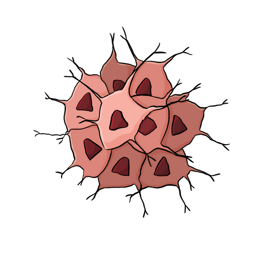 Eine Ansammlung von verformten Zellen. Sie haben unregelmäßige Zellkerne und Tentakel-Ähnliche Anhängsel.