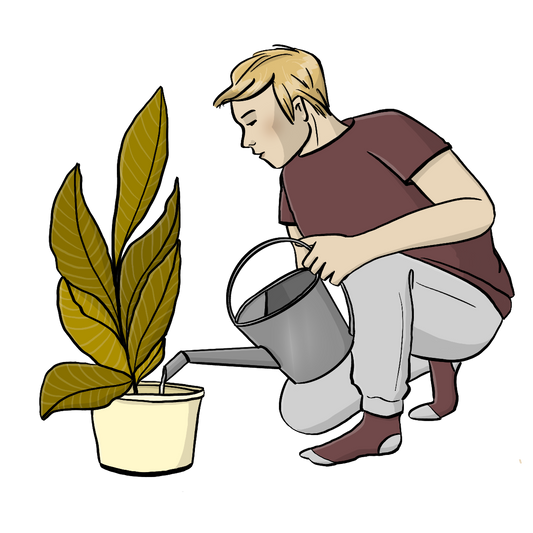 Ein Mann mit einer Gießkanne in der Hand kniet vor einer Zimmerpflanze und gießt Wasser in den Topf.