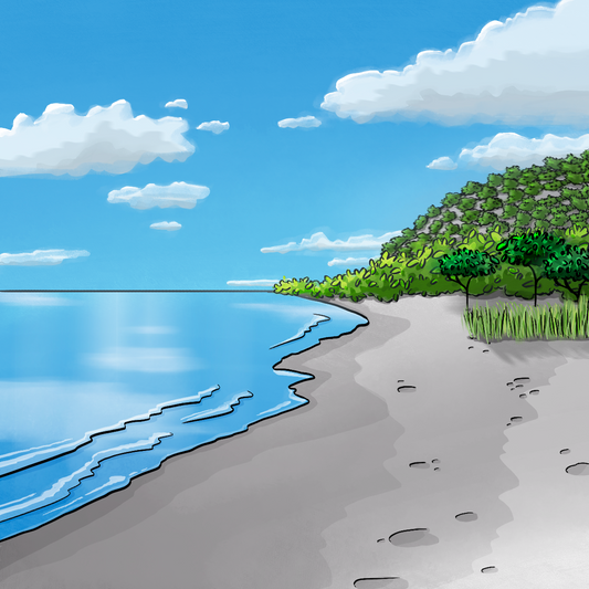 Ein Strandabschnitt, im Hintergrund sind Bäume. Der Himmel ist blau mit einigen Wolken.