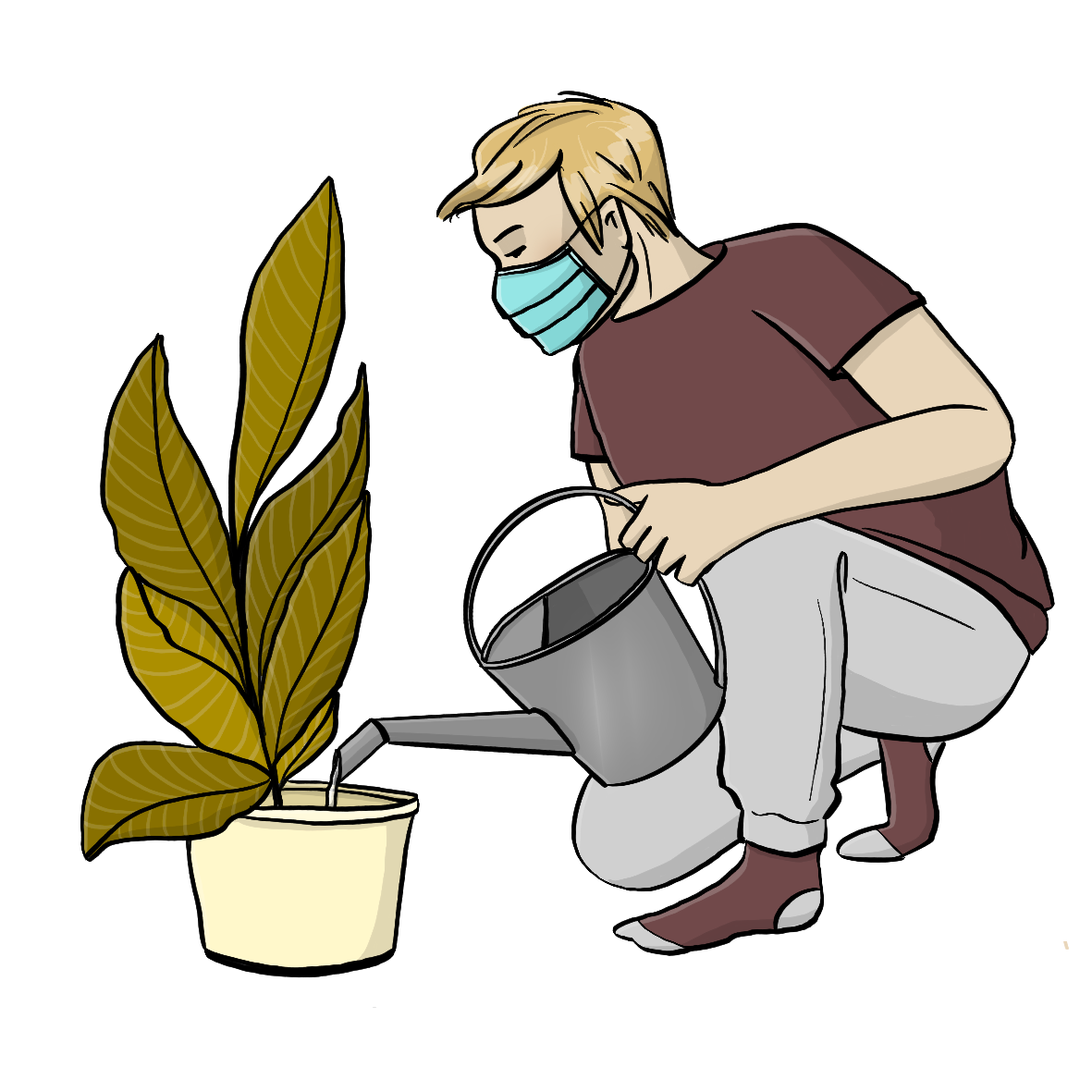Ein Mann gießt eine Zimmerpflanze. Er trägt einen Mundschutz.