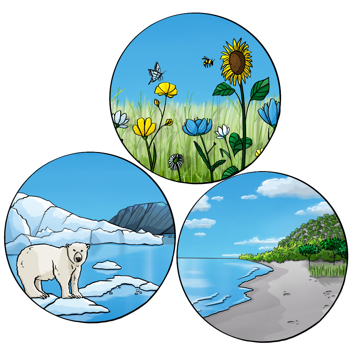 Drei Kreise mit Bildern. Auf dem ersten Bild steht ein Eisbär auf einer Eisscholle. Auf dem zweiten Bild ist eine Blumenwiese mit Bienen und Schmetterlingen. Auf dem dritten Bild ist ein Strand mit Meer. 