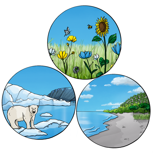 Drei Kreise mit Bildern. Auf dem ersten Bild steht ein Eisbär auf einer Eisscholle. Auf dem zweiten Bild ist eine Blumenwiese mit Bienen und Schmetterlingen. Auf dem dritten Bild ist ein Strand mit Meer. 