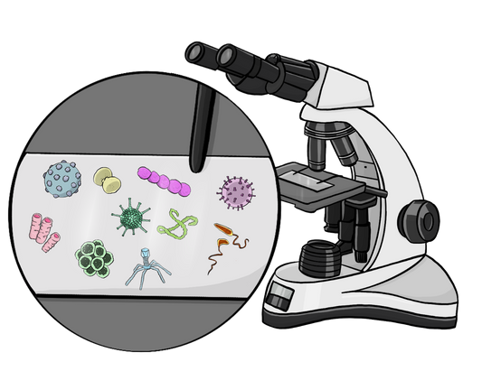 Ein Mikroskop. Daneben ist ein Kreis mit einem Vergrößerten Trägerglas. Auf dem Glas sind verschiedene Viren und Bakterien.