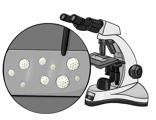 Ein Mikroskop. Daneben ist ein Kreis mit einem vergrößerten Objektträger. Auf dem Objektträger sind weiße Kugeln. 